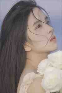 许你一轮皎皎月广告+结局