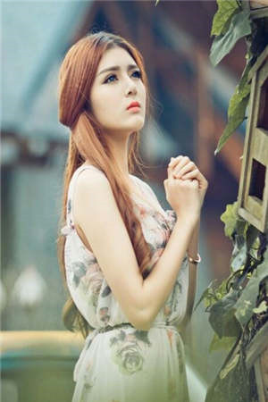 冬楼香入碧纱笼顾延年蔺小云全集