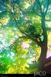 重山尽落烟雨寒畅读