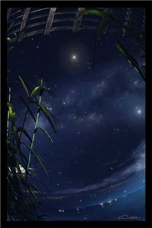 一纸青山忆残年后续+番外