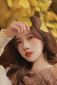 雾锁重楼，旧梦难温爽文