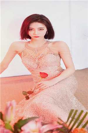 朝霞不渡晚来风前文+