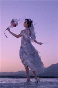 心似落雪，不见归人无删减全文