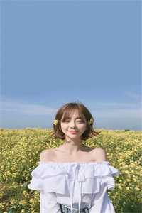 春棠未识少年游优质全文阅读