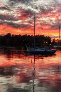 满城飞雪落空枝最新