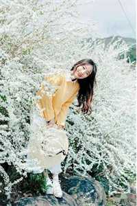 昔去雪如花完结txt