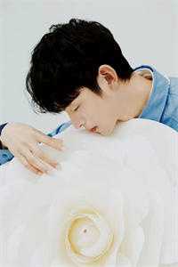 被后妈凌虐致死后，我爸杀疯了小说全文免费阅读