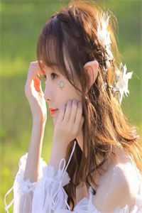 爱情这件小事的小说