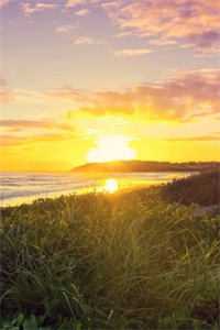 别后自有好春山全章节阅读