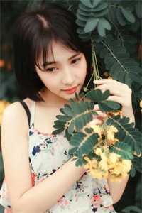 我决定不再爱他后，他后悔了叶南辰唐婉全文免费