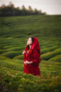 丈夫身上的痘痘被人抠了小说结局