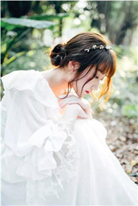 明月清如许，不曾照归人完本