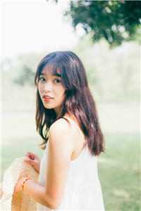 一纸相思寄远川全文+番外