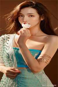 她以清风宴群山的小说