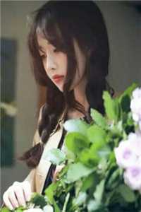 一刀霜刃了情迟全文+免费