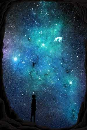 风起时，花落成殇完结