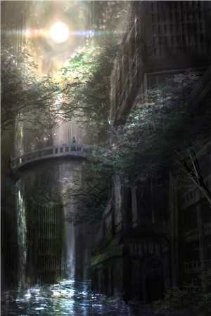 昨夜风雨那时晴小说