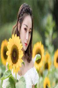 她于雪夜离岛完整作品