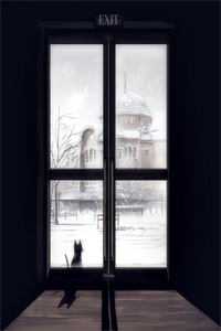 腹黑上司套路深，闪婚离了也逃不掉全新