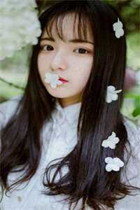 星沉意未平免费阅读