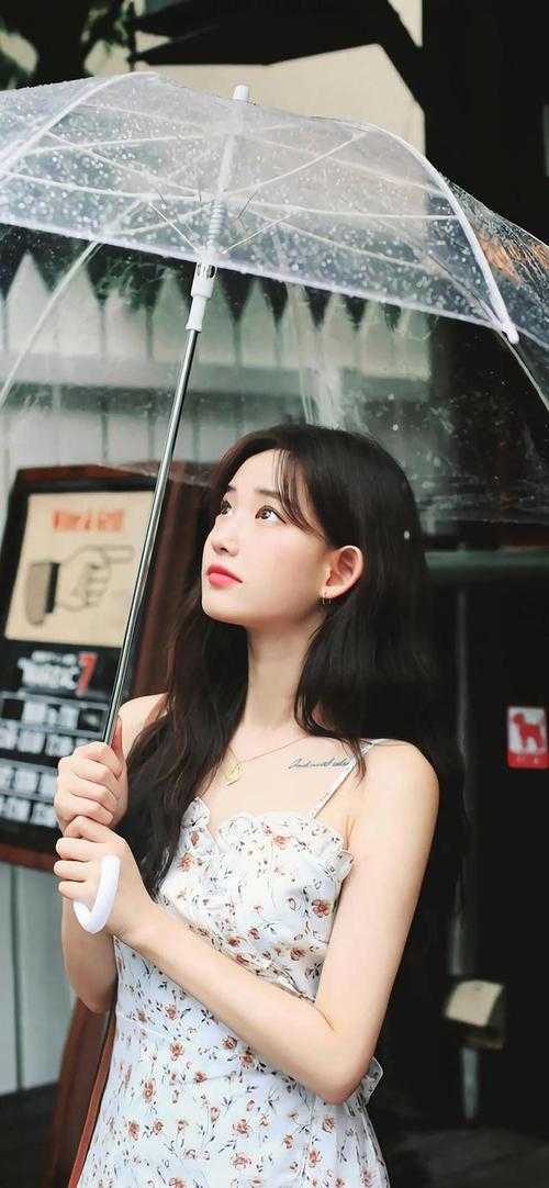 朝霞不渡晚来风乔舒然陆凛骁全集