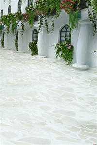 穿越六零：恶毒女配绝不洗白短篇小说阅读