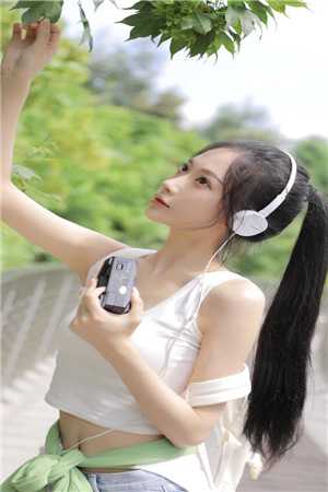 南柯覆不见经年好书