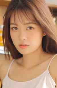 杨过：这次，换我来守护桃花岛全集