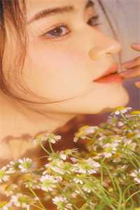 浮生一白没孤鸿前言+后续