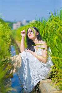 缄口十年，一语诛心未删减版