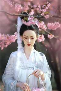 雨停之后，只剩满目疮痍已完结