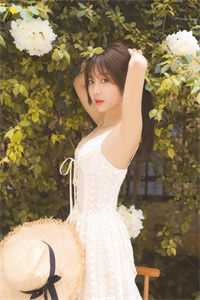 何以残影断归鸿火爆小说