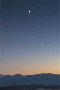 皇城震惊！绝嗣太子与寡妇生娃了全文