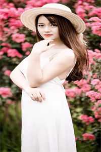 世事千山雪，回头再无春无弹窗