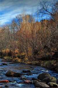 回眸不见故人颜小说全文免费