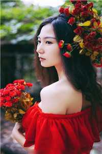 情似残梦随风逝章节