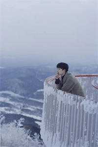 攀娇免费阅读全文