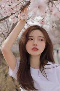 偏是相思最蚀骨热门小说