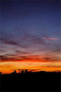 半盏花灯枕明月推荐