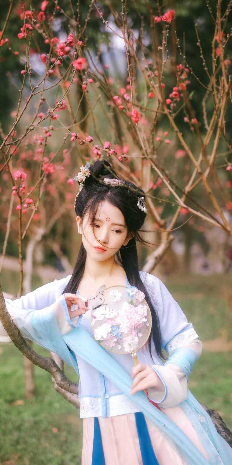 风不尽声不歇裴书祁宋清雪全集