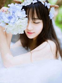 一念风止，一晌贪欢全本