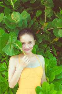 朔风卷却昨夜霜全章节