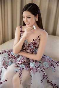 我摘星辰缀她衣后续+番外