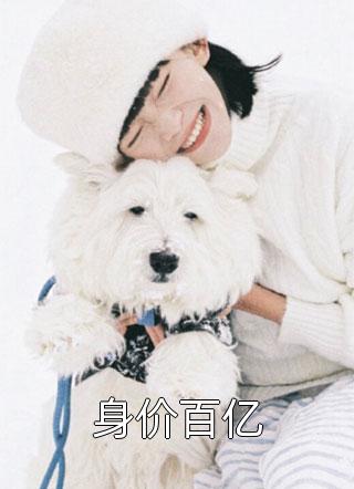 北城旧梦扰清风未删减版