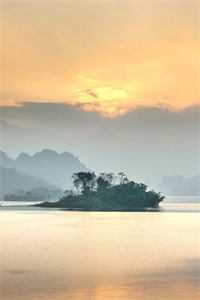 情似残梦随风逝小说全文免费阅读