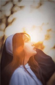 旧海棠，新烟雨无删版