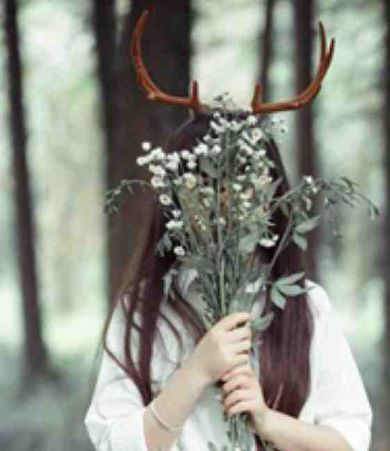 转身时，山水已入眸无删减+无广告