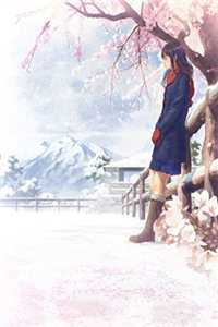 你是青山经年的雪试读