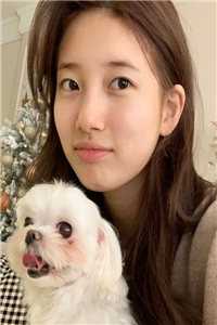 深情旧故，爱恨新长精品推荐