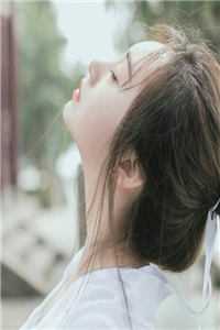 当归不识旧时驿左念姝陆明彦小说结局